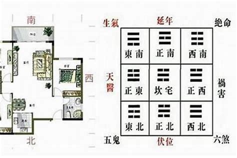 青龙位要放什么|家居风水：龙的正确摆放。